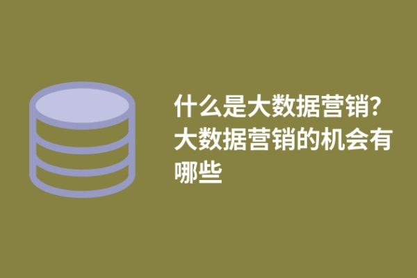 什么是大數(shù)據(jù)營(yíng)銷(xiāo)？大數(shù)據(jù)營(yíng)銷(xiāo)的機(jī)會(huì)有哪些