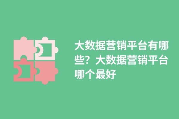 大數(shù)據(jù)營(yíng)銷(xiāo)平臺(tái)有哪些？大數(shù)據(jù)營(yíng)銷(xiāo)平臺(tái)哪個(gè)最好