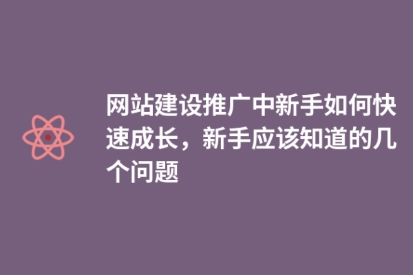 網(wǎng)站建設(shè)推廣中新手如何快速成長，新手應(yīng)該知道的幾個問題