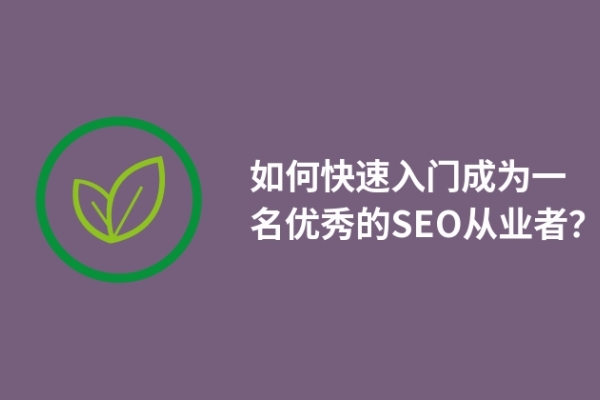 如何快速入門成為一名優(yōu)秀的SEO從業(yè)者？