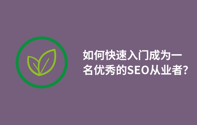 如何快速入門成為一名優(yōu)秀的SEO從業(yè)者？